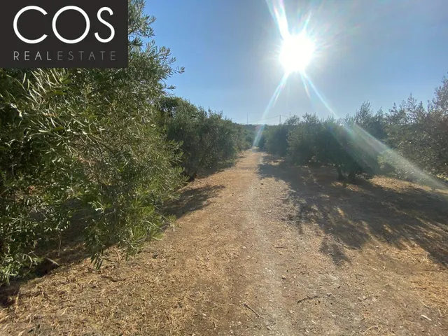 Parcela 40m² en venta - Urbanizacion azahar — 7