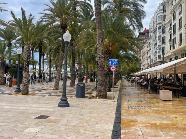 Edificio en Venta en el Corazón de Alicante - Oportunidad Única — 5