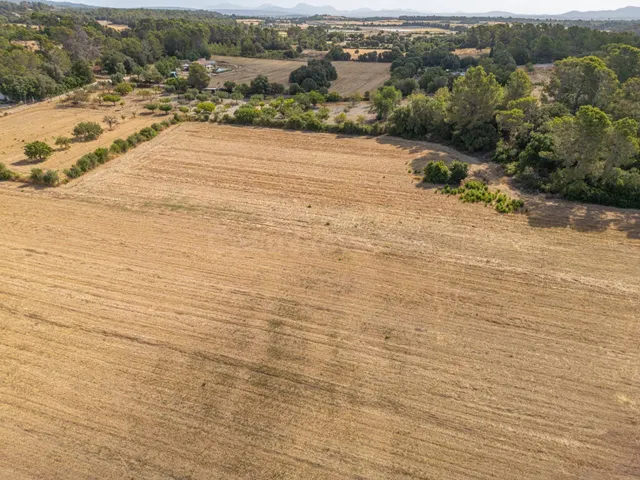 Conjunto de parcelas rústicas en venta en Porreres (Mallorca - foto 4