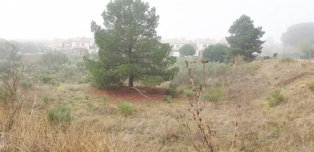 Urbis te ofrece unas parcelas en venta en Boecillo, Valladolid. — 20