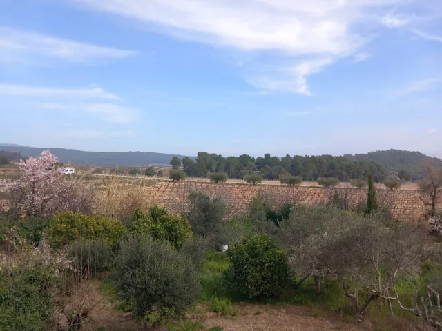 Casa 4 vientos en gran parcela con vistas a viñedos (1.040 m2) — 25
