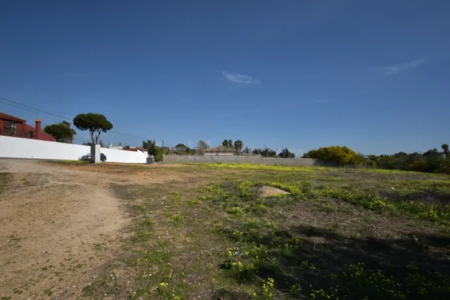 PARCELA DE 2442 M2 EN PINAR DE LOS FRANCESES - foto 3