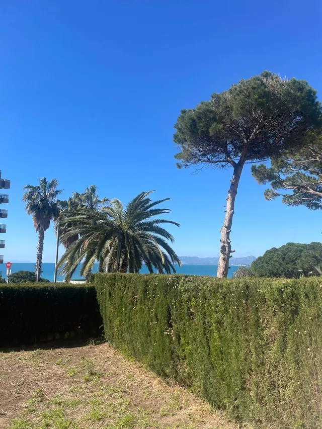 PLANTA BAJA+ PK+ TRASTERO EN PLATJA CAPELLANS — 7
