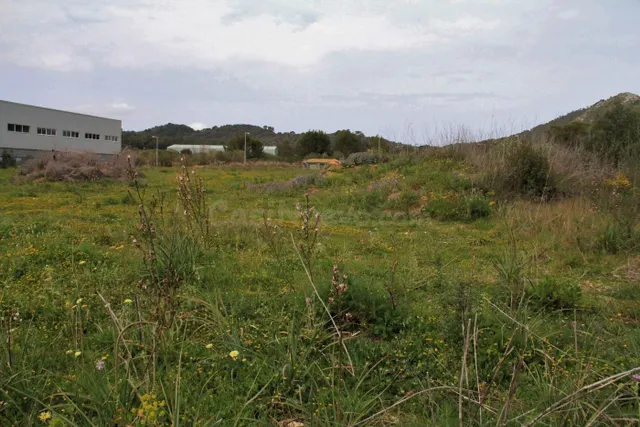 Terreno industrial en venta - Alcudia - foto 4