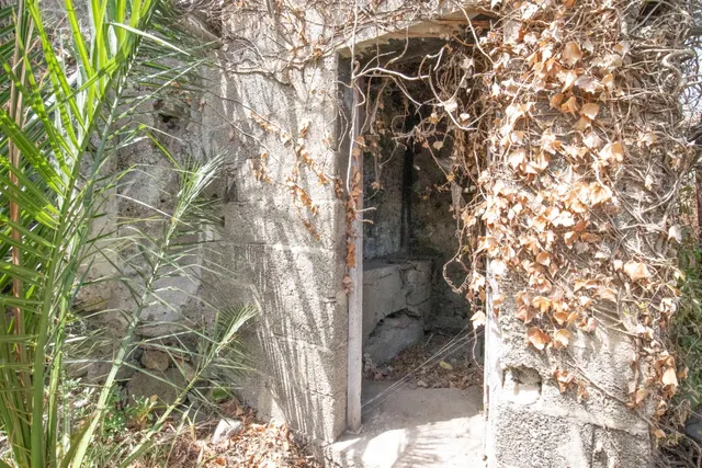 CASA TERRERA CON FINCA EN VENTA EN SANTA BÑRBARA, ICOD DE LOS VINOS — 39