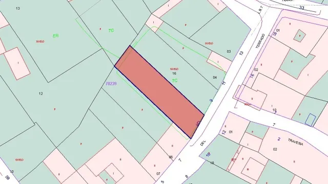 TERRENO URBANO EN BENAVIDES DE ORBIGO — 2