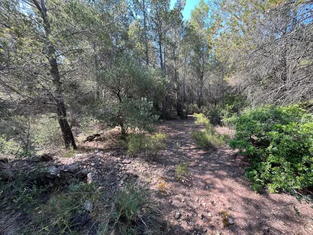 Terreno agrario en Mont-roig del camp, con barraca y pozo — 5