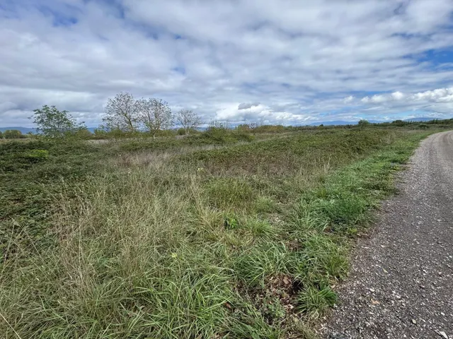 SE VENDE 8.800 M2 DE TERRENO RUSTICO EN CARRACEDELO - foto 3