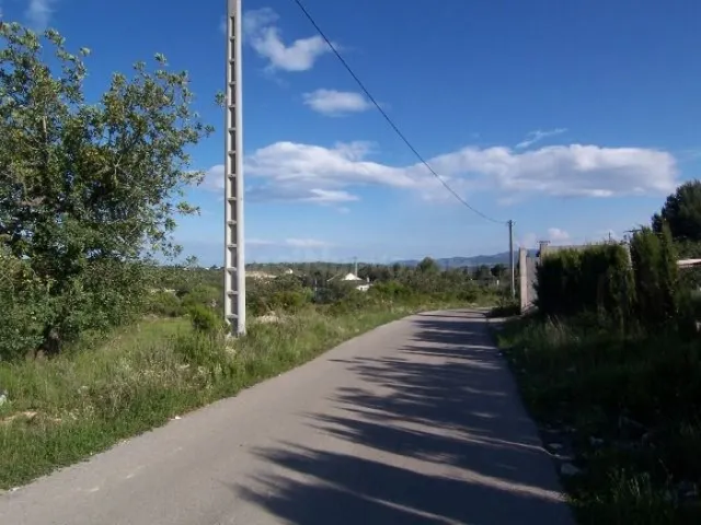 Terreno rústico de unos 8000 m2 en la Fuente de la Virgen .  - foto 3