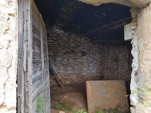 Finca Rústica de 6,5 hectáreas, plana, con casa de campo de 150 M2 — 16