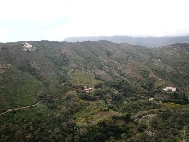 Finca rústica de 59 ha en Estepona para desarrollo exclusivo - foto 4