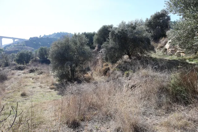 TERRENO EN VENTA EN ALCAÑIZ. Ref TR08102023 - foto 5