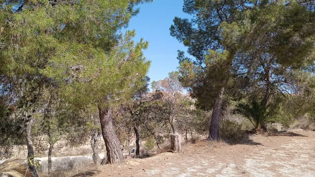 VENTA DE SOLAR EN ALTORREAL — 8