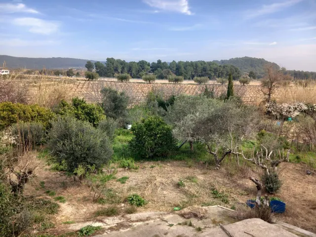 Casa 4 vientos en gran parcela con vistas a viñedos (1.040 m2) — 26