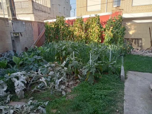 SE VENDE CASA EN VILLALOBAR, 2 PLANTAS, VIVIENDA EN PRIMERA PLANTA, PARCELA 400 M2, GARAJE 40 M2. — 19