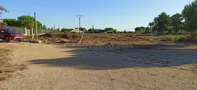 CASA DE CAMPO AUTOCTONA DE ELCHE - foto 4