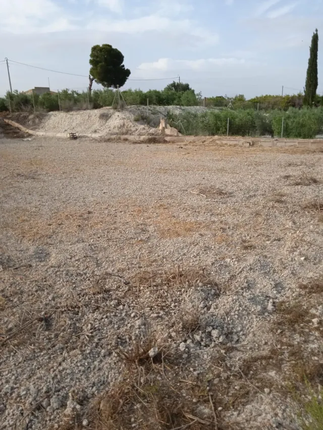 SE VENDE PARCELA RÚSTICA DE 2236M2 EN ALGUAZAS - foto 3