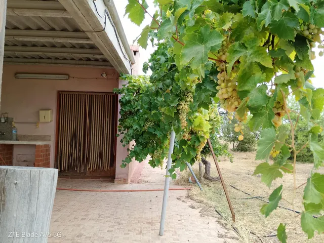 Finca rústica 4 habitaciones 230m² en venta - La Magdalena — 9