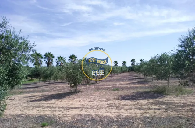 TERRENO CON POSIBILIDAD DE CONSTRUIR DOS CASITAS DE CAMPO MUY CERCA TÉRMINO AGULLENT — 3