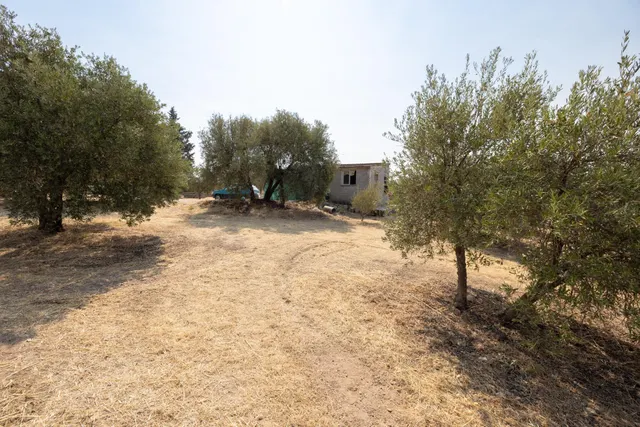 Encanto rústico con casita y olivos en Moraleja de Zafayona 🌿 — 31