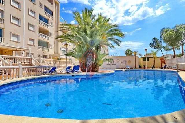Ático en alquiler anual en el Conjunto de apartamentos turís