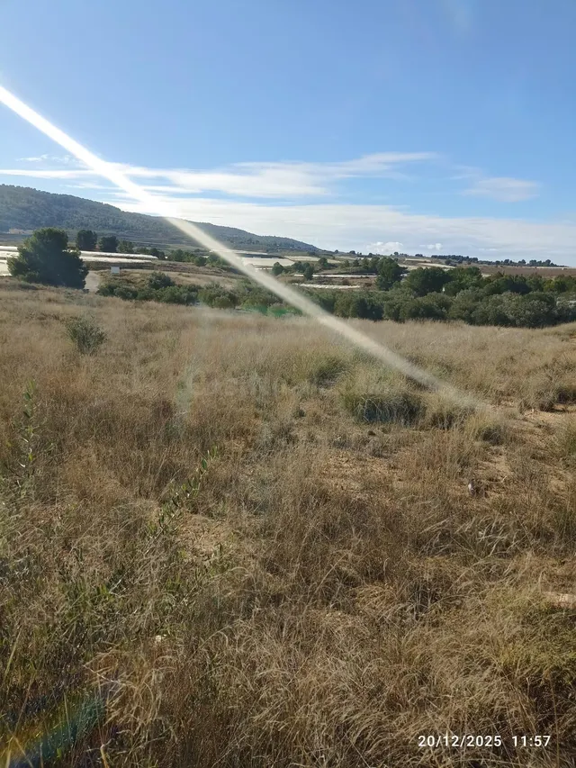 Terreno en Venta en Aledo - foto 3