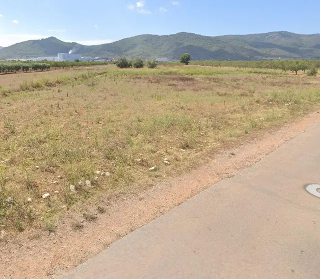FINCA SECANO LLANA A PIE DE CAMINO ASFALTADO SITUADA EN EL TERMINO DE VILLAFAMES — 4