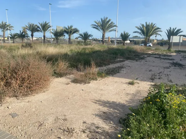 Exclusiva Parcela de 250 metros en La Torreta, Elche