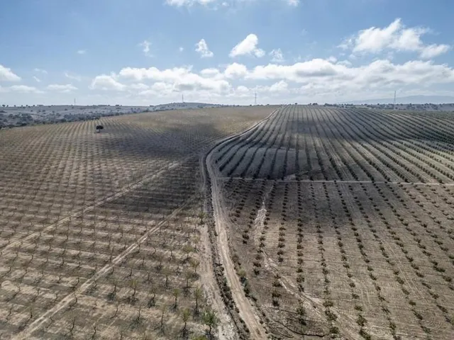 IMPRESIONANTE OPORTUNIDAD DE INVERSIÓN EN ALAMEDILLA!! — 11