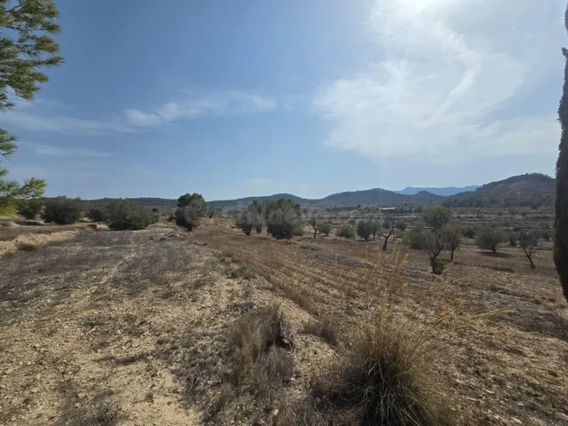 Terreno rural en venta - Comunidad valenciana - foto 4