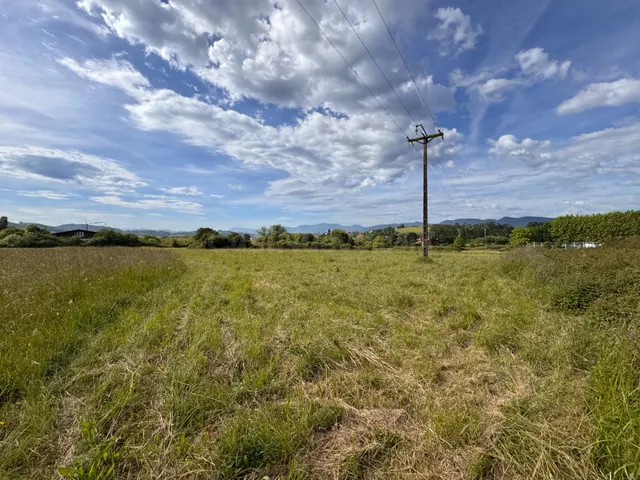 Terreno rural en venta - Sta. María de Getxo - foto 2