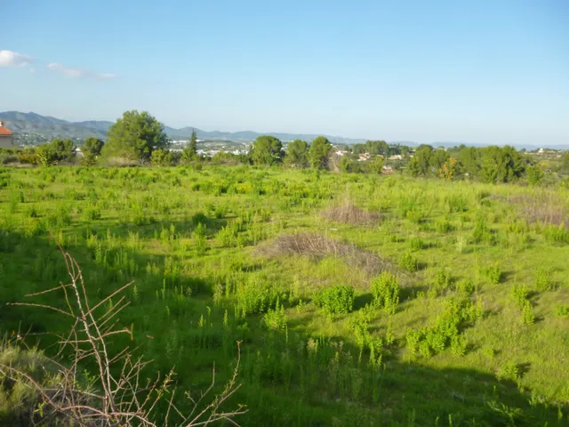 Terreno en Camí Vell de Alfafara — 6