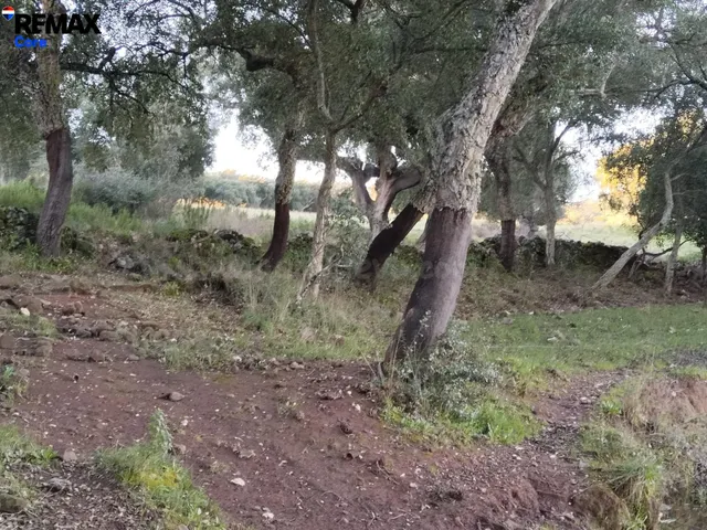 Dehesa Extremeña en Jerez de los Caballeros - foto 4