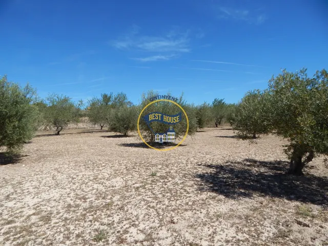 TERRENO DE 17.900M2  EN PRODUCCIÓN CON POSSIBILIDAD DE CONSTRUIR EN AGULLENT(VALENCIA) — 11