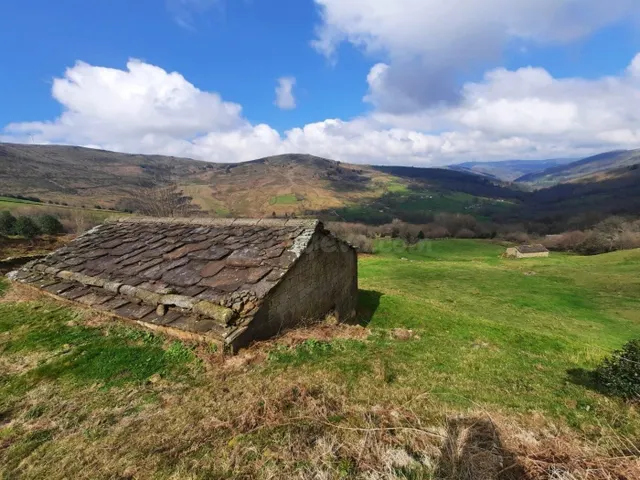 FINCA DE MÁS DE 18000M2 CON DOS CABAÑAS PARA REFORMAR.- - foto 3