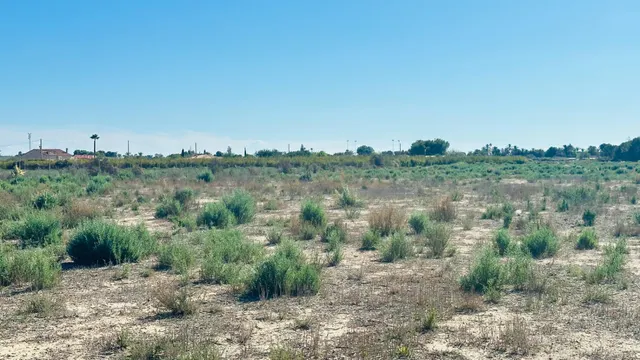 Terreno de 12.000 m2 en Perleta. — 18