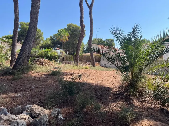 SOLAR EN VENTA JUNTO A PLAYA DE PALMA - foto 3