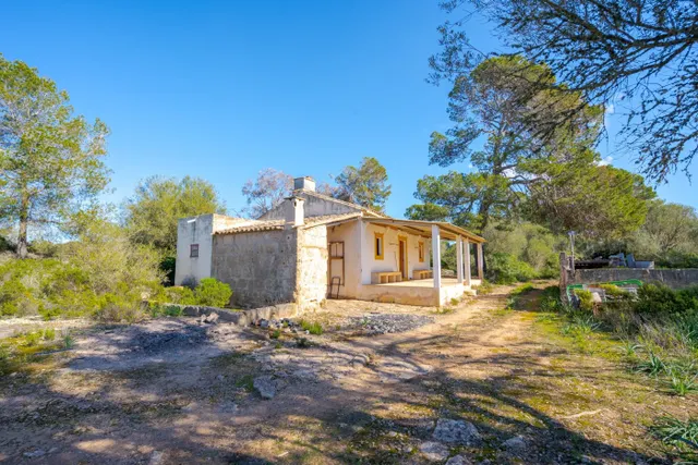 Finca de 124 hectáreas con vivienda en Puigderrós, Llucmajor. — 7