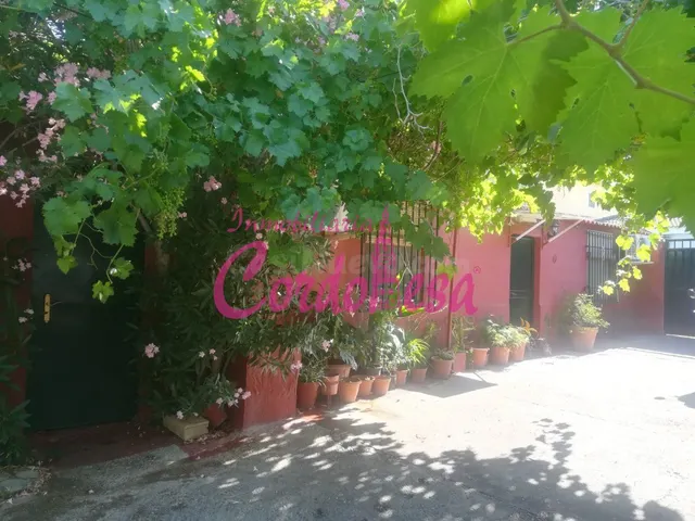Parcela 100m² en venta - El Higuerón