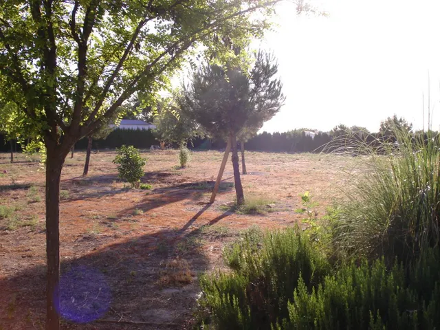 parcela: Terreno de 5500 m2 y casa de 60 m2, preparada para ampliar. — 4