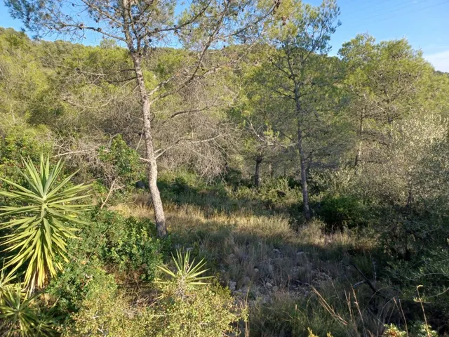 Terreno urbano edificable en venta de 1287 m2 en CASTELLET I LA GORNAL — 19