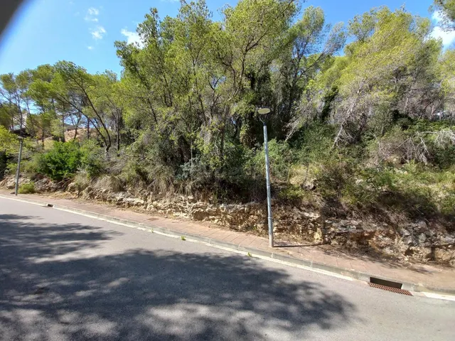 Gran solar en venta en urb. Mas Alba, para 8 casas. - foto 2