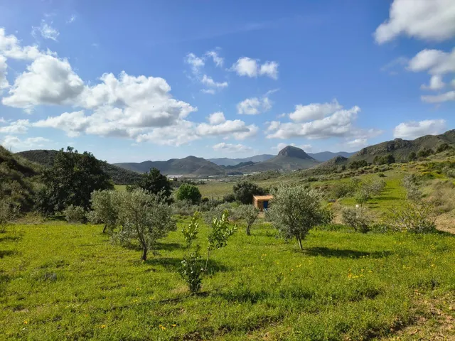 Refugio único con 3 viviendas, olivar y energía solar – Costa Cálida, Murcia — 15