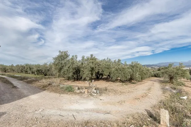 MAGNÍFICA PARCELA CERCANA A CTRA. DE URB. EL TORREÓN