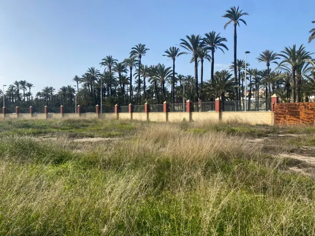 Exclusiva Parcela de 250 metros en La Torreta, Elche — 28
