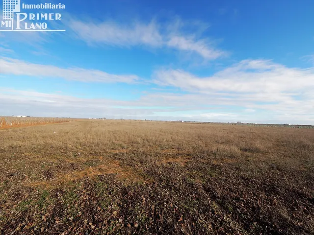 Se venden 10,4 de hectareas de tierra blanca en el termino d - foto 4