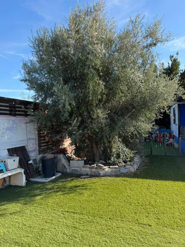 Chalet en Lorquí con Piscina y Amplia Parcela — 46