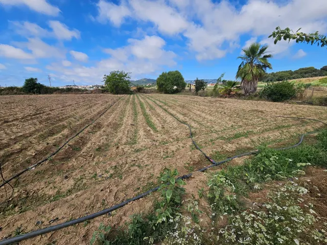 Terreno agricola en venta en Malgrat de Mar — 8