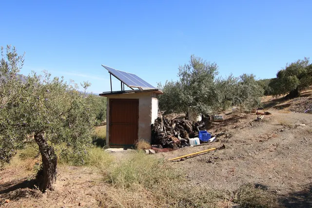 Finca rural con proyecto turístico en Tolox (Málaga) - 6.000 m² — 6