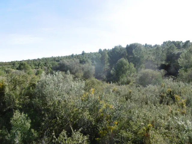 MASIA PARA REFORMAR  CON ALMACENES EN UNA FINCA DE 10 HECTÁREAS — 35